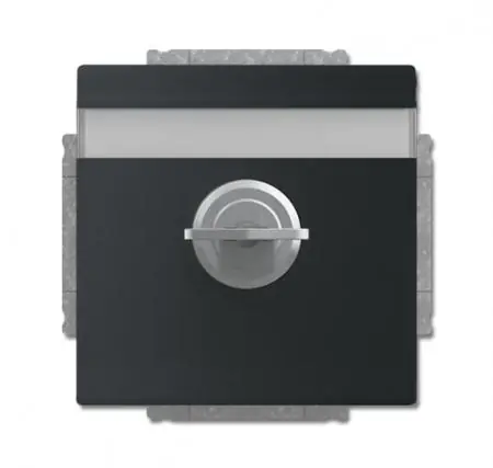 Geprüft Busch-Jaeger 20 EUKNBSL-885-101 SCHUKO® Steckdosen-Einsatz mit Klappdeckel und Schloss