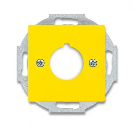 Busch-Jaeger 2533-82-15 Zentralscheibe mit Tragring Nur Heute