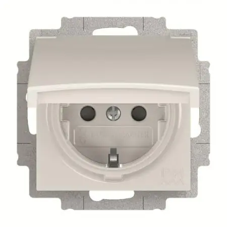 Busch-Jaeger 20 EUCKBD-914 SCHUKO® Steckdosen-Einsatz mit Klappdeckel Bestpreis