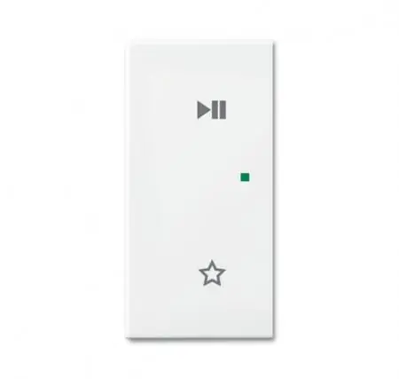 Busch-Jaeger 6237-21-914 Wippe/L 2-fachPlay/Pause Bestseller