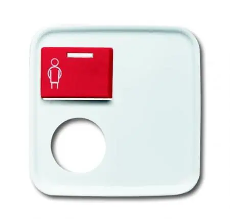 Busch-Jaeger 2548-071 E-214-101 Zentralscheibe Neu Im Sortiment
