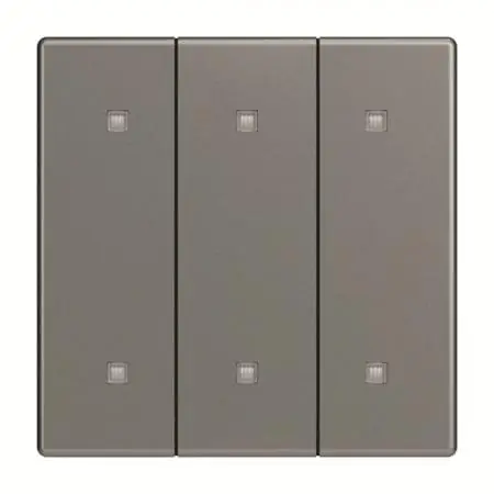 Begrenztes Angebot Busch-Jaeger 2570-30-803 2570-30-803 Wippe 3-fach Elekroniktaster