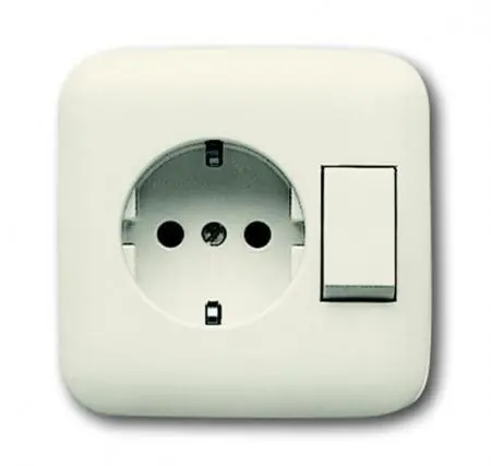 Busch-Jaeger 4310/6 EUJ-212 Kombination SCHUKO® Steckdose mit Wippschalter Markenware