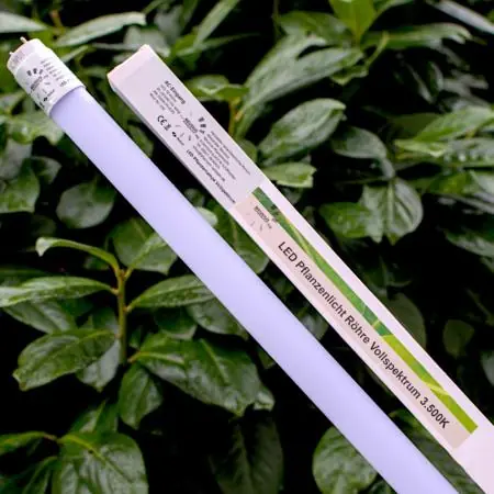 NEUSIUS PFLANZENLICHT - 60cm LED Pflanzenlicht Röhre 8W T8 Vollspektrum (inkl. Starter) Neu Im Sortiment
