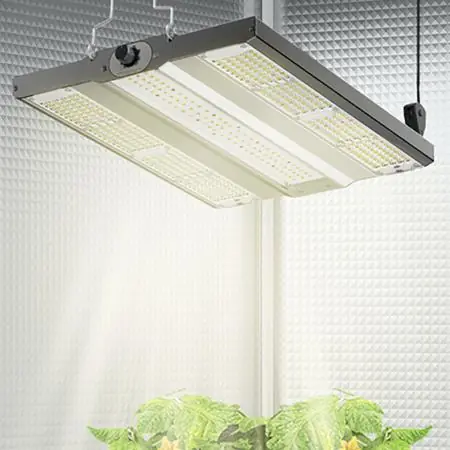 Ausverkauf NEUSIUS PFLANZENLICHT - LED-Pflanzenlampe FLORIS Grow 150W