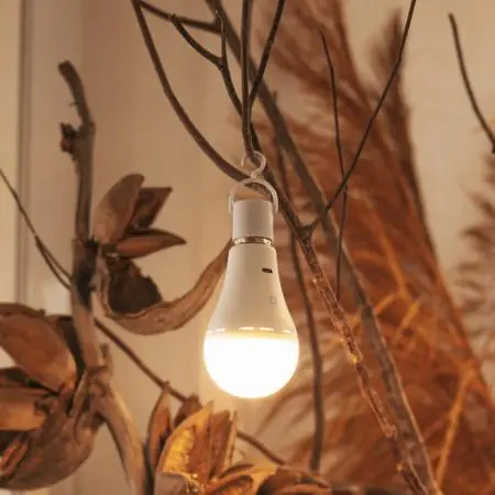 New Garden Tragbare wiederaufladbare E27 Glühbirne LAPERA mit Akku, USB-Ladung und Fernbedienung IP20 für Innen, warm- bis kaltweiß einstellbar Sichere Zahlung