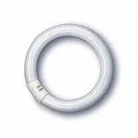 Jetzt Bestellen Osram L 22W/765 C Ringform Daylight G10q